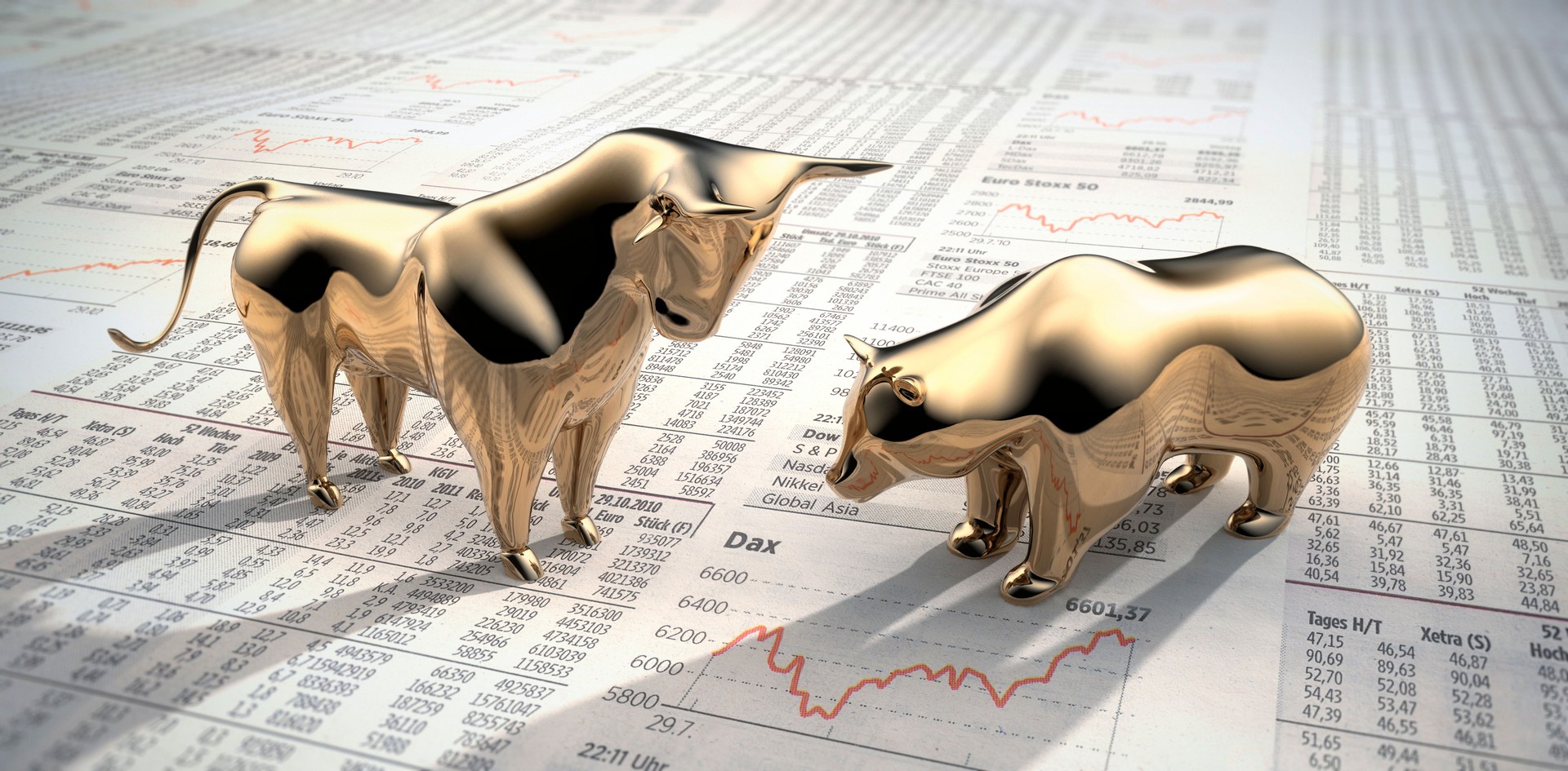 Bull and bear on stock market prices